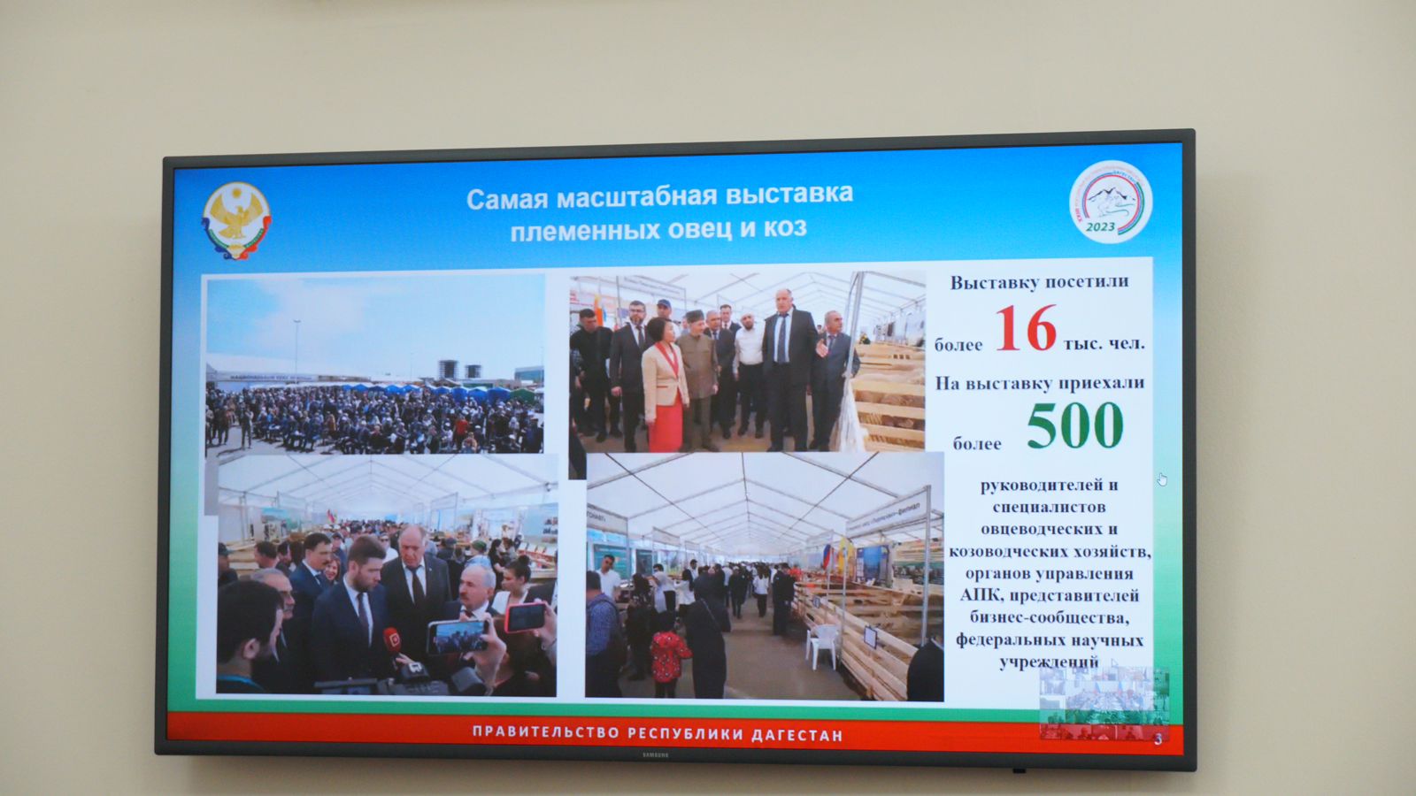 В Дагестане планируют построить шерстеперерабатывающее предприятие «Дагшерсть» и откормочные площадки для КРС и МРС